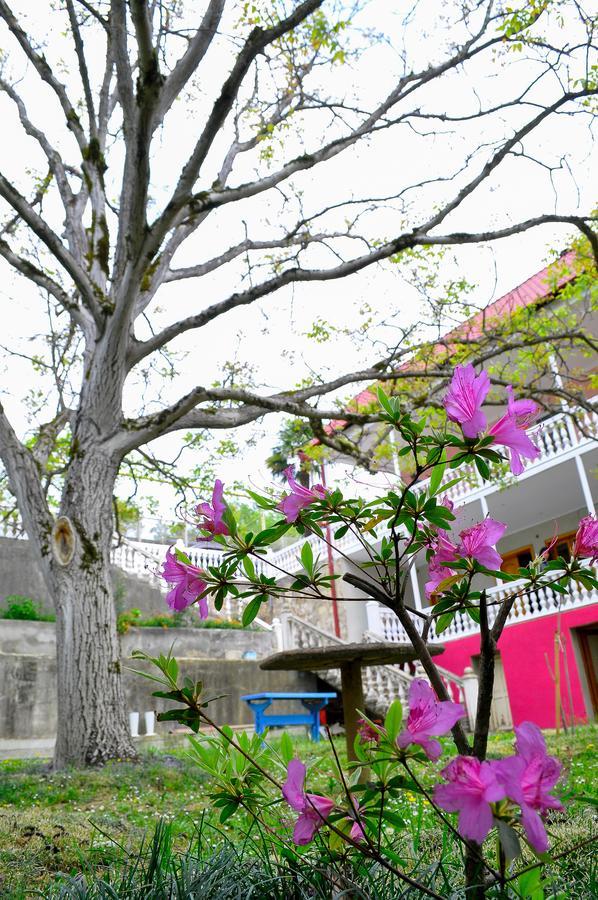 Sofia Guest House Кутаиси Екстериор снимка